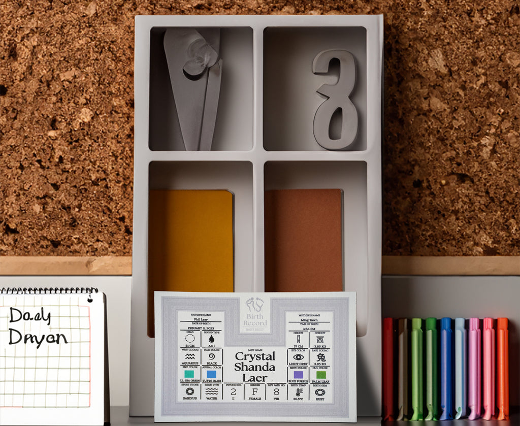 The Coordinator: Baby Brief
